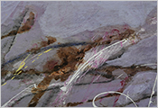 Peinture contemporaine par Marie-Claude Bohnenblust Lenglart Peintre Plasticien