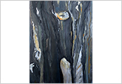 Peinture contemporaine par Marie-Claude Bohnenblust Lenglart Peintre Plasticien