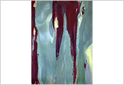 Peinture contemporaine par Marie-Claude Bohnenblust Lenglart Peintre Plasticien