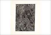 Gravure par MCBOH peintre plasticien Marie Claude Bohnenblust Lenglart